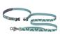 Preview: Ruffwear Crag Leash Grassy Oxbow